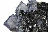 Purple Cubic Fluorite Crystals on Sphalerite - Elmwood Mine #244240-2